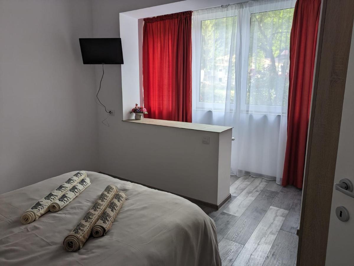 Apartamentul Alfa Slănic-Moldova Екстериор снимка